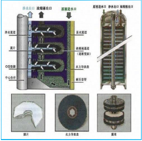 1648435011612550.png 图片6.png